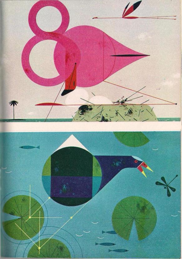 Top: Flamingo by Charley Harper Bottom: Purple Gallinule by Charley Harper