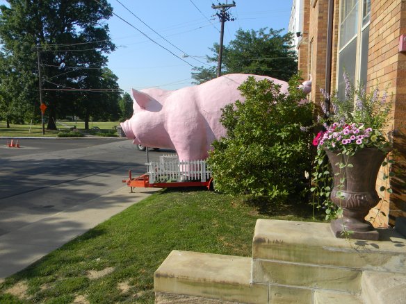 What is this, you ask?