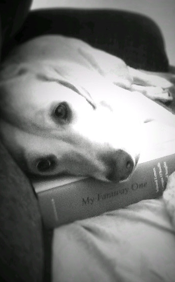 He knows how to get my attention.