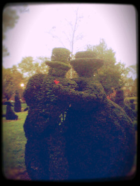 "Let us be grateful"