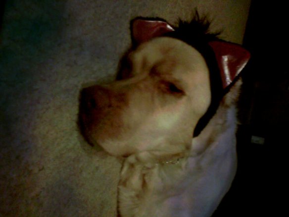 Crosley is not amused. Crosley is not amused.