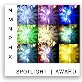 NMNPHX Spotlight Award