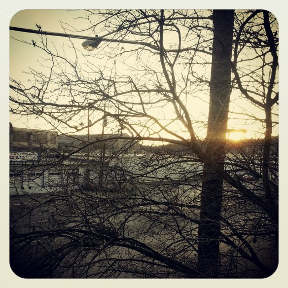 Lonely Tree, Take One