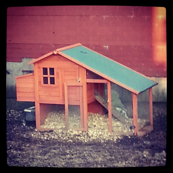 Chicken condo