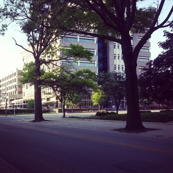 Random building, pretty trees.