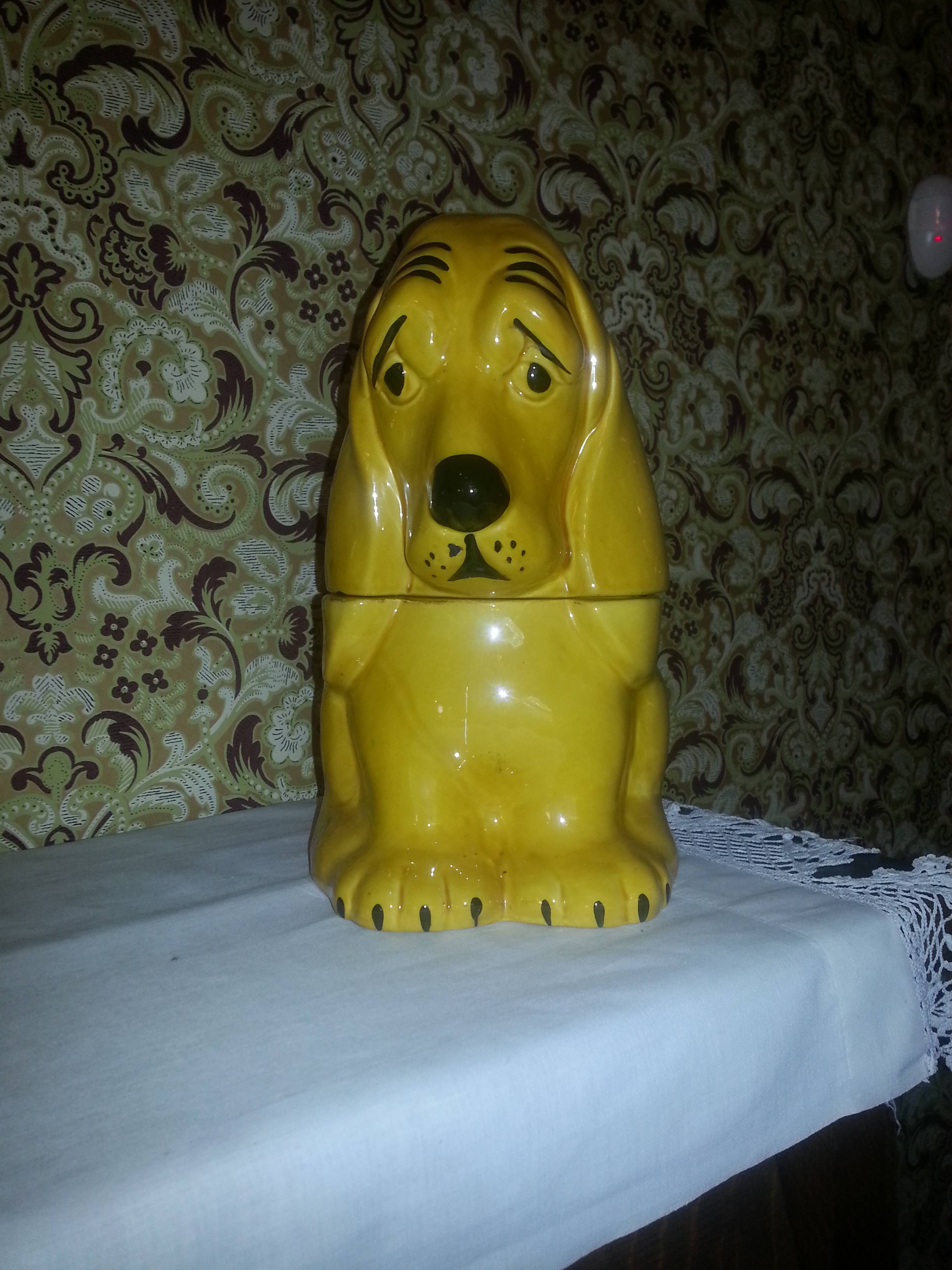 Adorable Thurber Dog