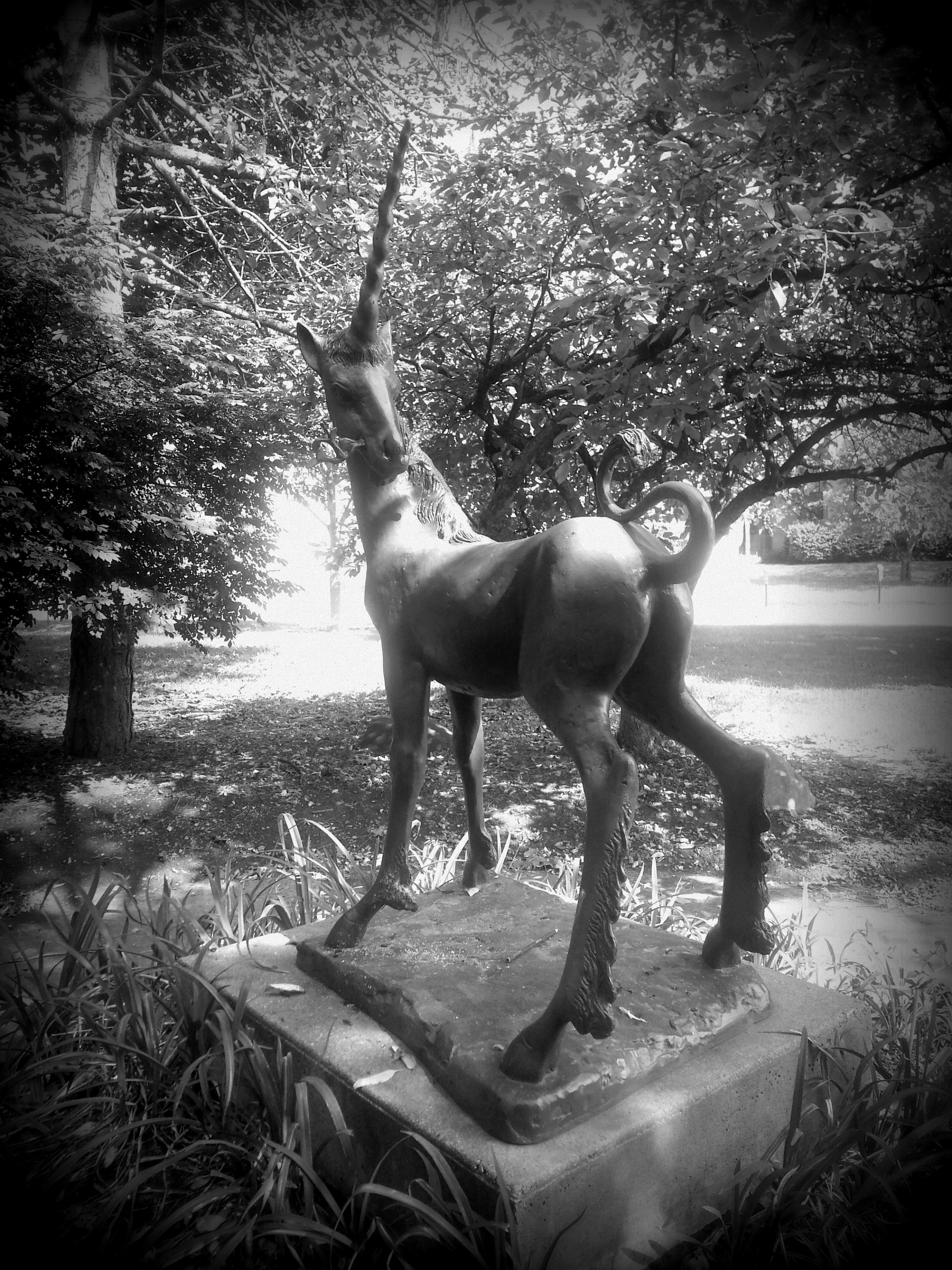 The Unicorn in the Garden