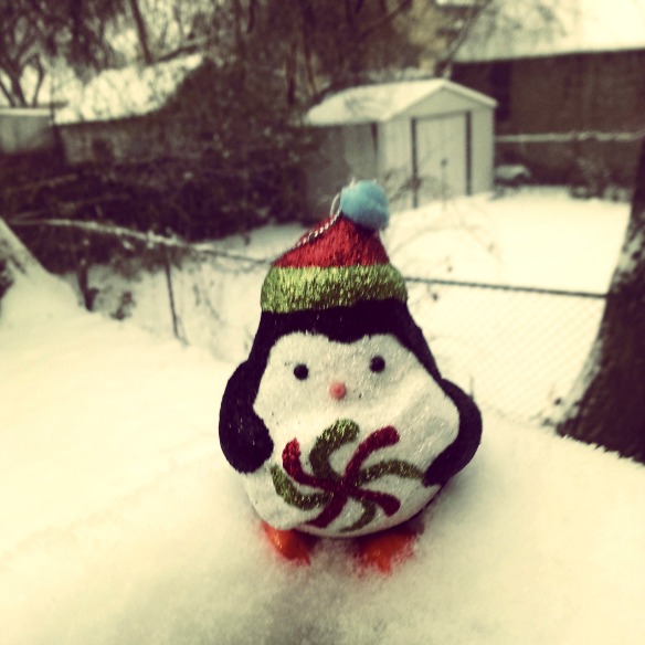 Little Penguin in the Snow