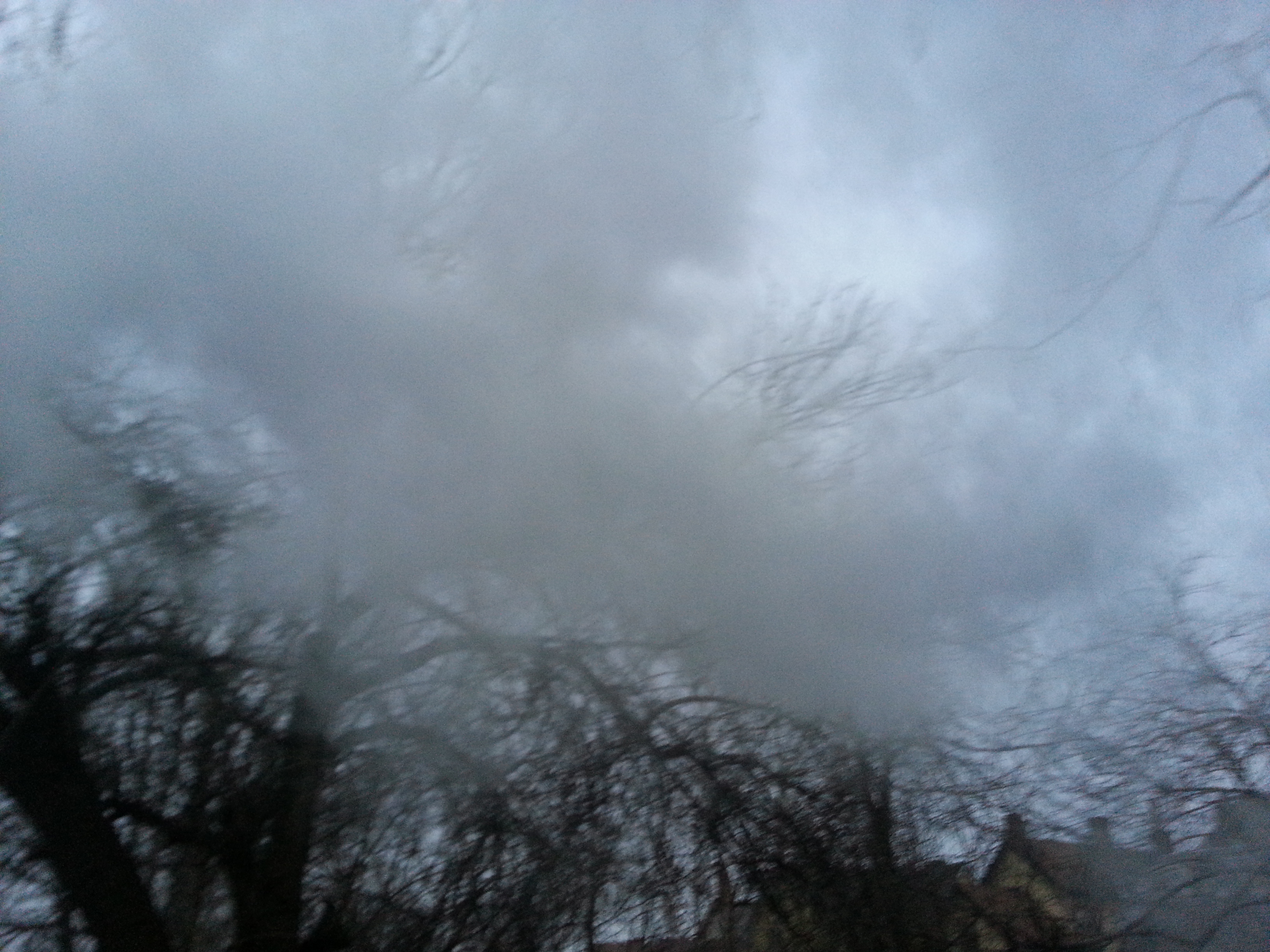 It was so much fun, we ultimately did it three times!