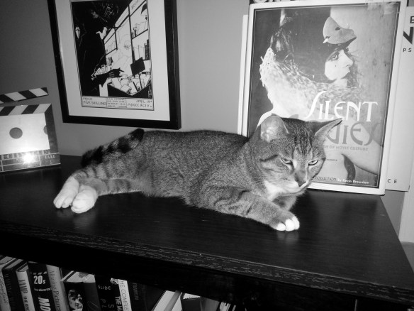 Little Miss Side-Eye