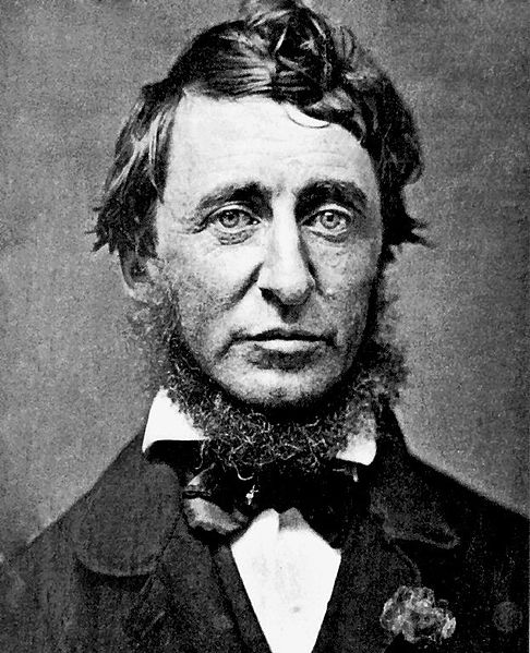 Henry David Thoreau, 1856