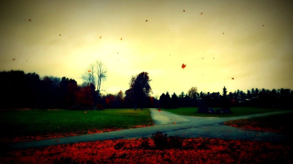 Falling Autumn Leaves