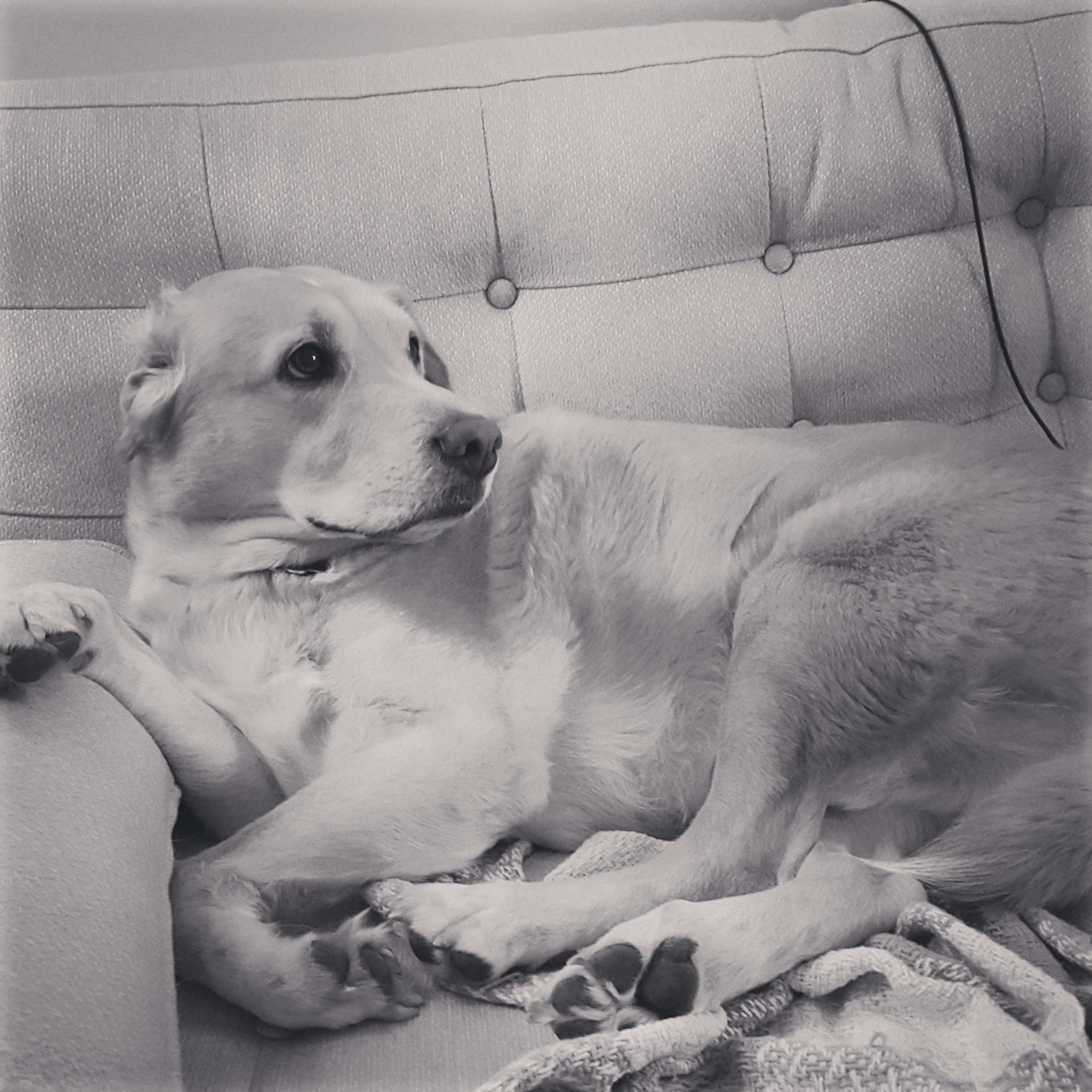 Waiting for His Papa