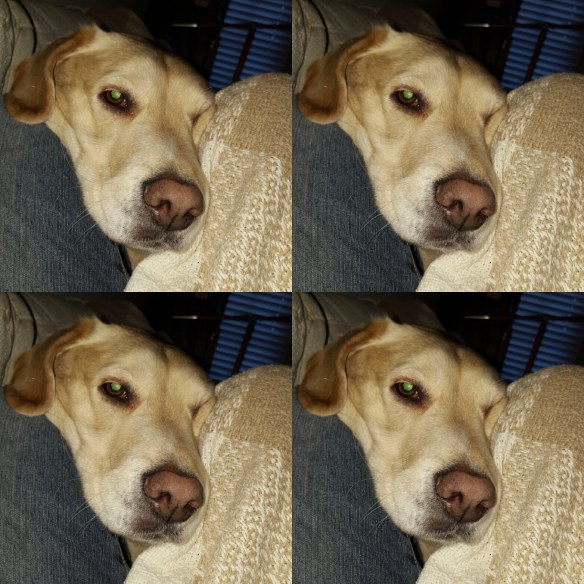 Pay attention to me, Mama!