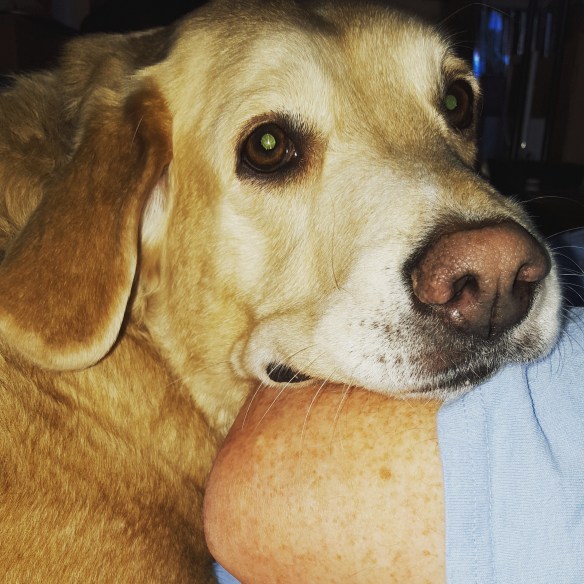 Back off, Mama! He's mine!