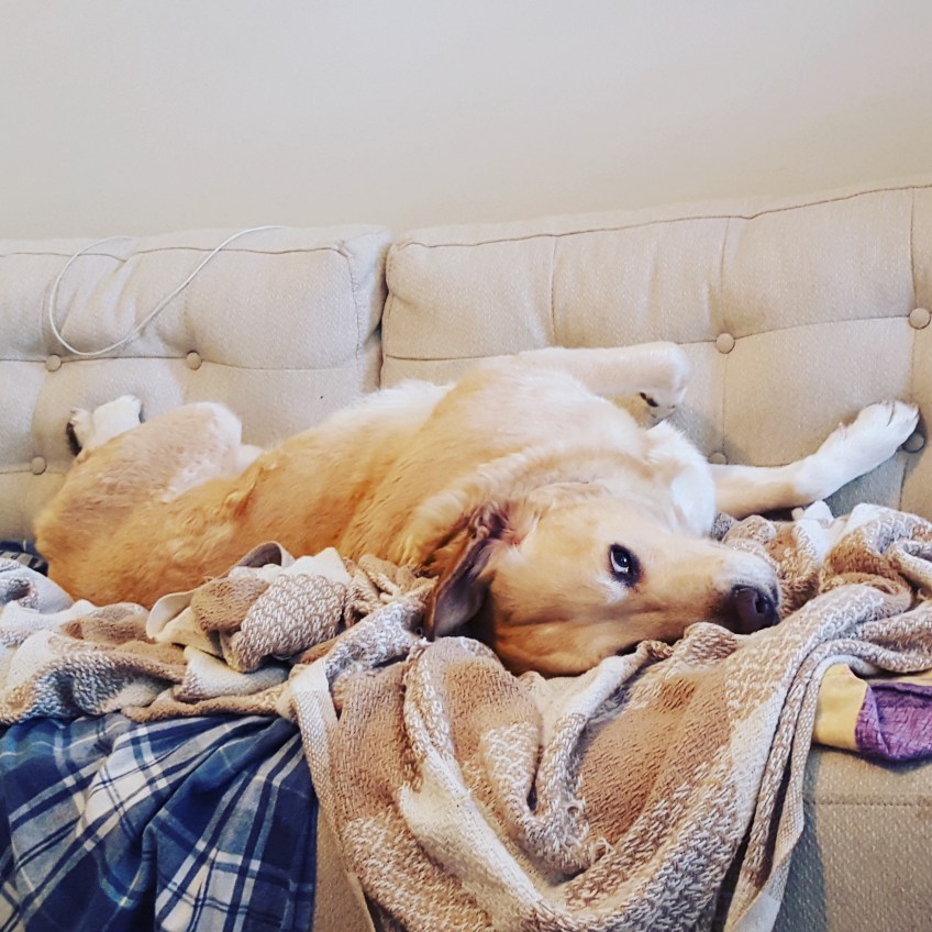 Dunc giving me the "look"