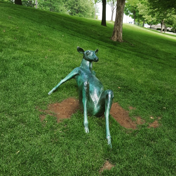 Some deer have no manners