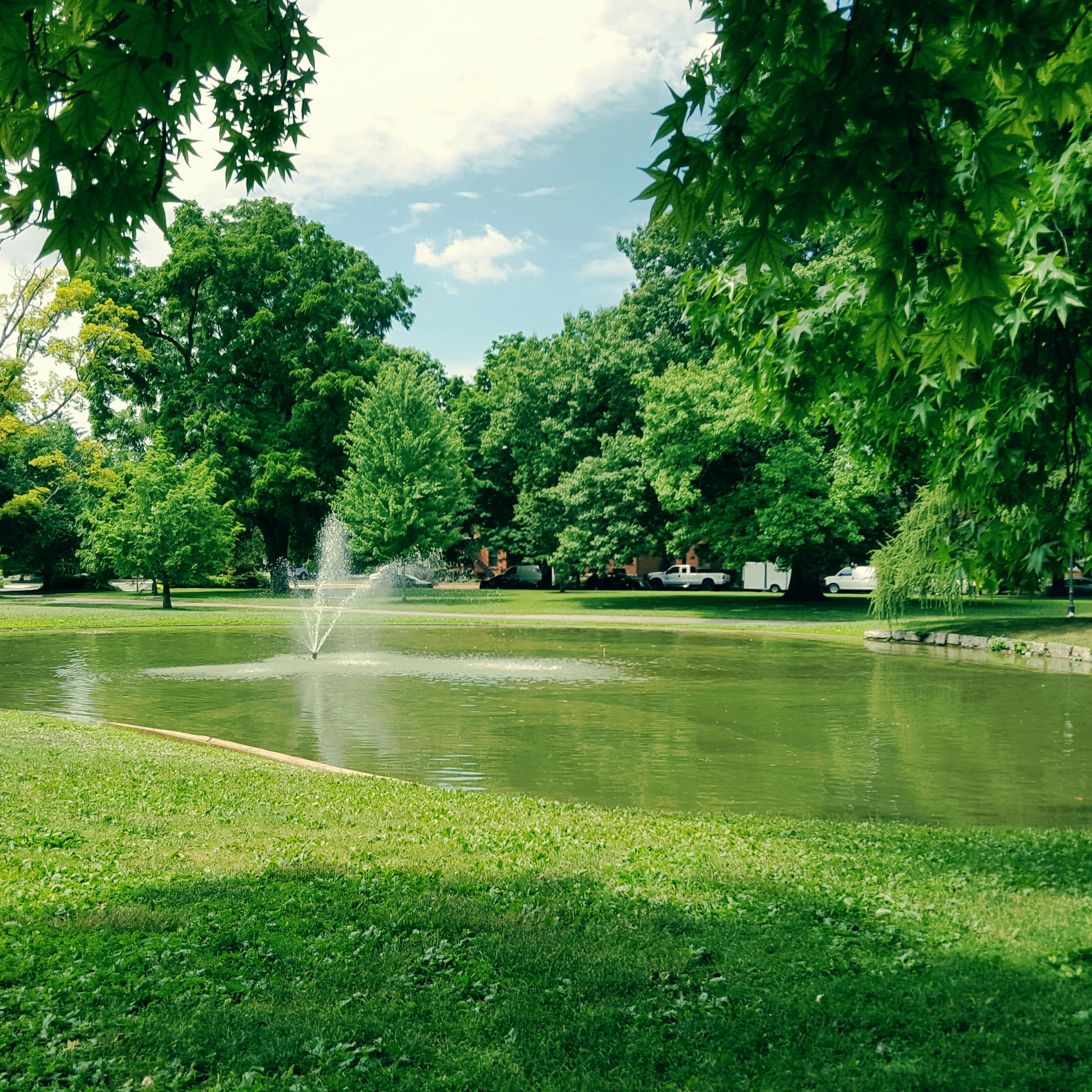 Green! Green! Green!