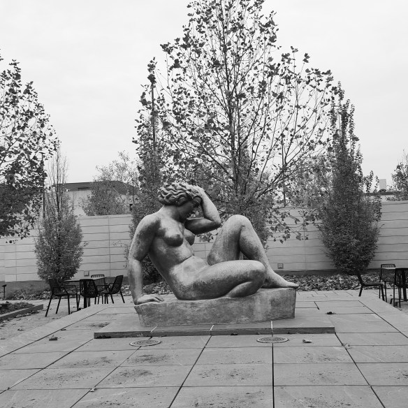 Nude in Black and White